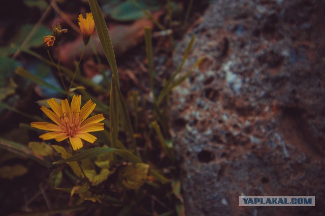 К заповедным озерам и долинам Архыза