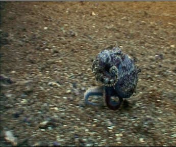 Ноги нафиг заплетаются.. а я идууу...