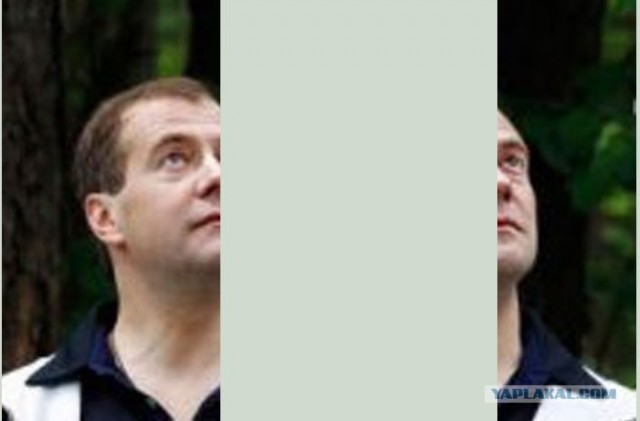 Ехали Медведев на велосипеде...