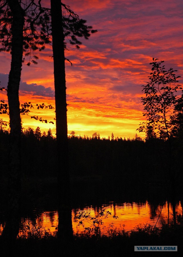 Деревенская Америка