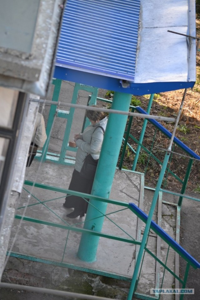 Новые "Свидетели ... "