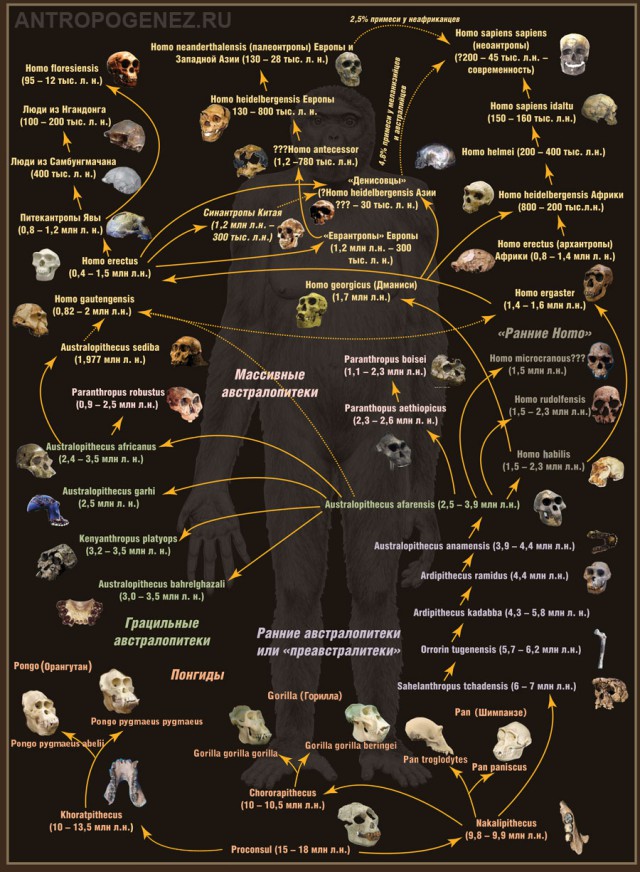 Эволюция за одну минуту