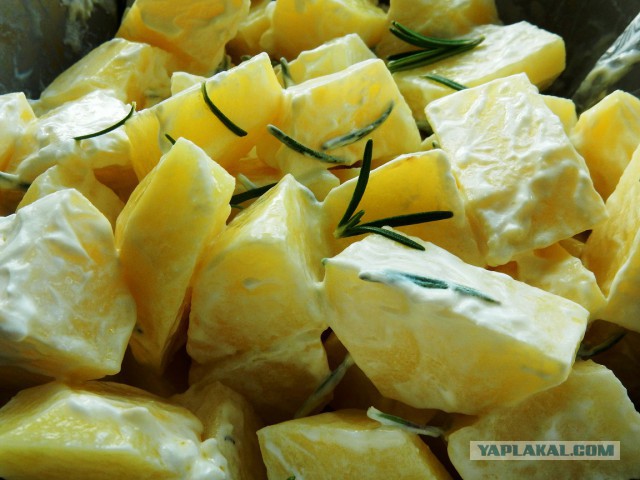 Лук