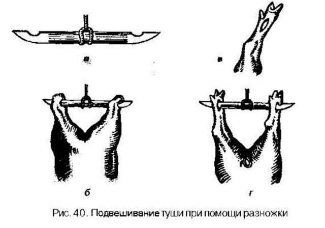 Морозная свежесть