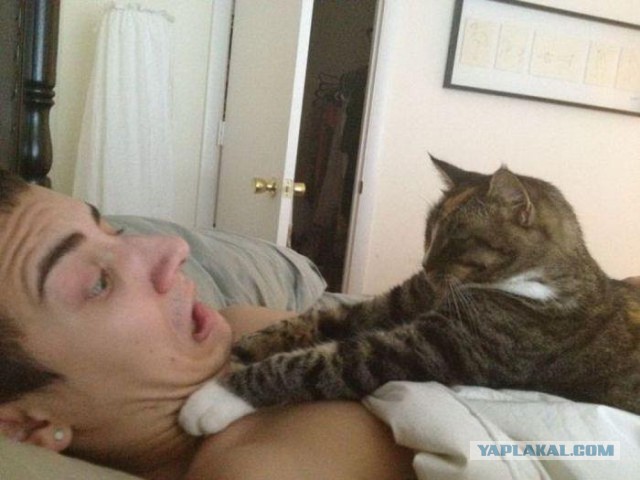 Многодетная мать отвлеклась на пару минут и потеряла любимую дочь.