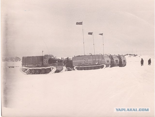 Харьковчанка