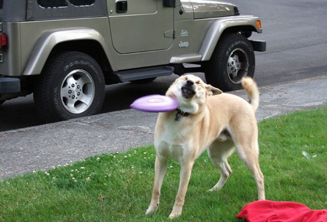 Подборка прикольных фото