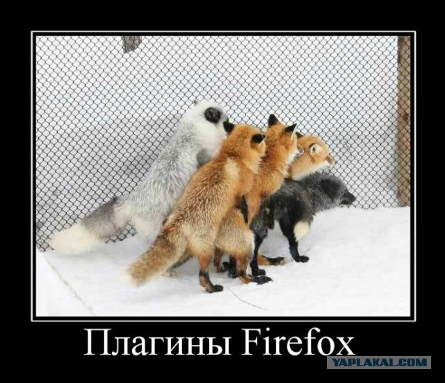 Как пишется ПО Windows