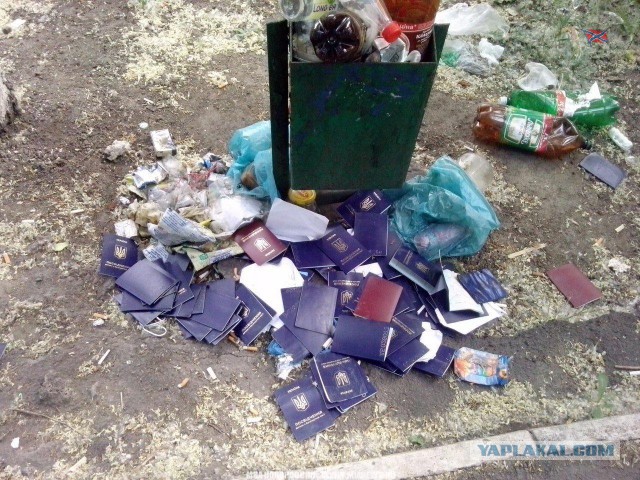 Глава ДНР вручил паспорт гражданина Республики российскому актеру Ивану Охлобыстину