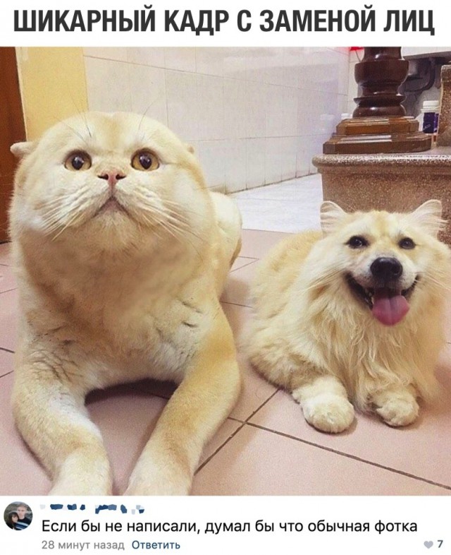 Нестандартный юмор