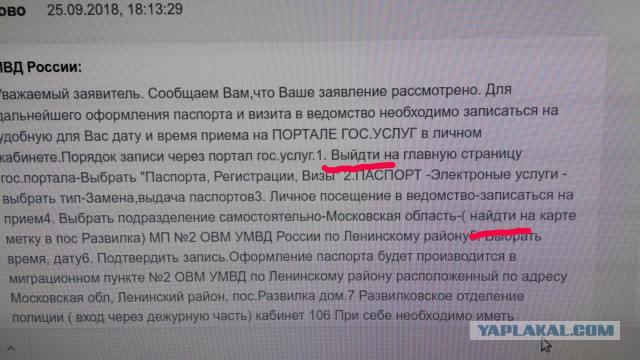 Эра двоечников настала. И они уже не стесняются ничего…