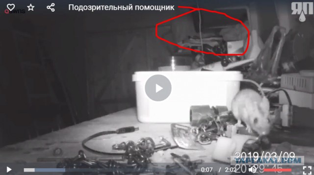 Подозрительный ночной помощник