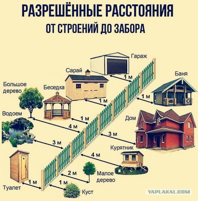 Можно ли сорвать яблоко с ветки, которая перевесилась на мой участок?