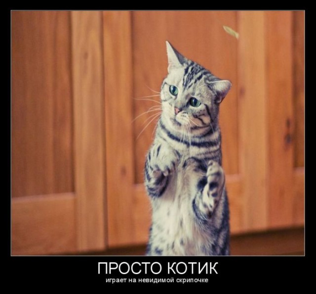 Прикольные и просто красивые картинки 30.11.2019