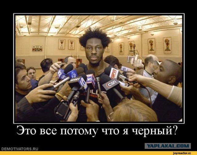 Никогда бы не подумал, что существую лютые куры-убийцы!