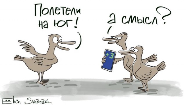 Альманах последних событий от Ёлкина (январь-февраль)