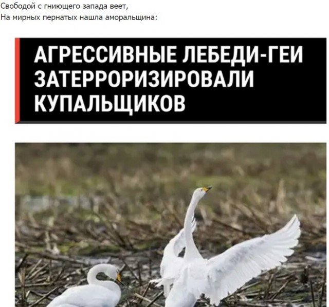 Бредзона 05.08.2020