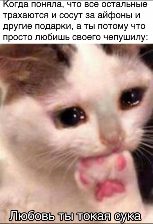 Пятница. И немного слегка пошлых картинок с надписями и без 16+ (02.04))