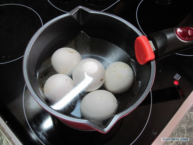 Легкие закусочки, скоро начало сезона!