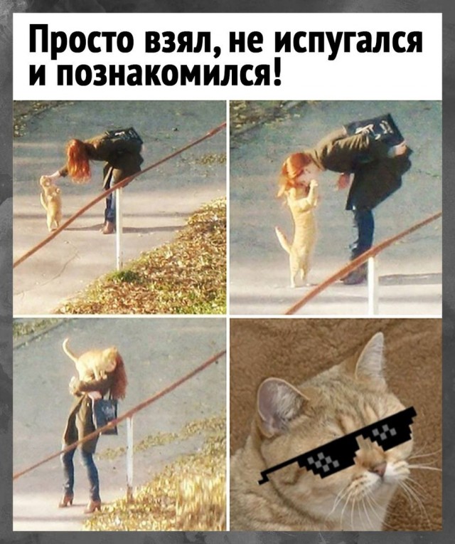 Так себе картинки 19.10.21