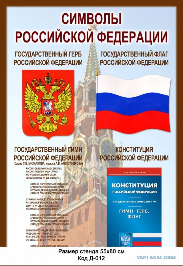 Нужно законодательно запретить распространение информации с оскорблениями президента России, - Мизулина