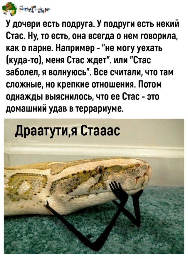 Так себе картинки 09.04.22