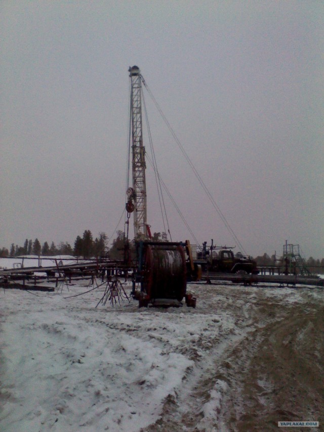 Крайний север. Нефть и газ