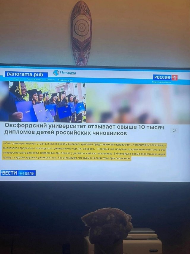 По телеку показали сатирическую новость из «Панорамы».