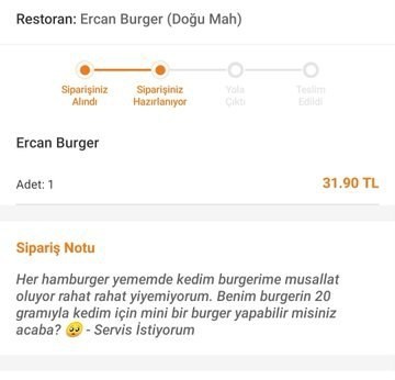 Турецкий ресторан приготовил отдельный бургер для кота по просьбе покупателя