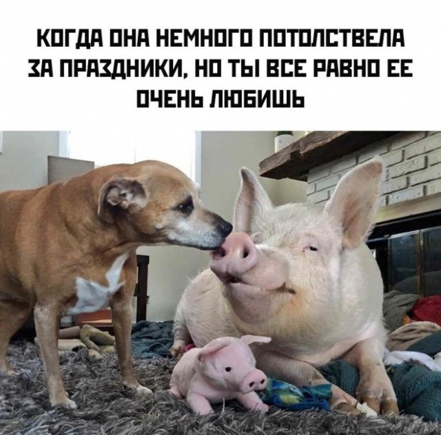 Немного картинок для настроения/постпраздничное