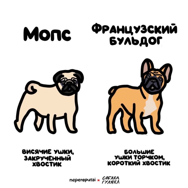 Смотри, Кутузов, не перепутай... vol.3