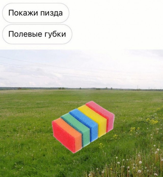 Немного картинок для настроения - 137