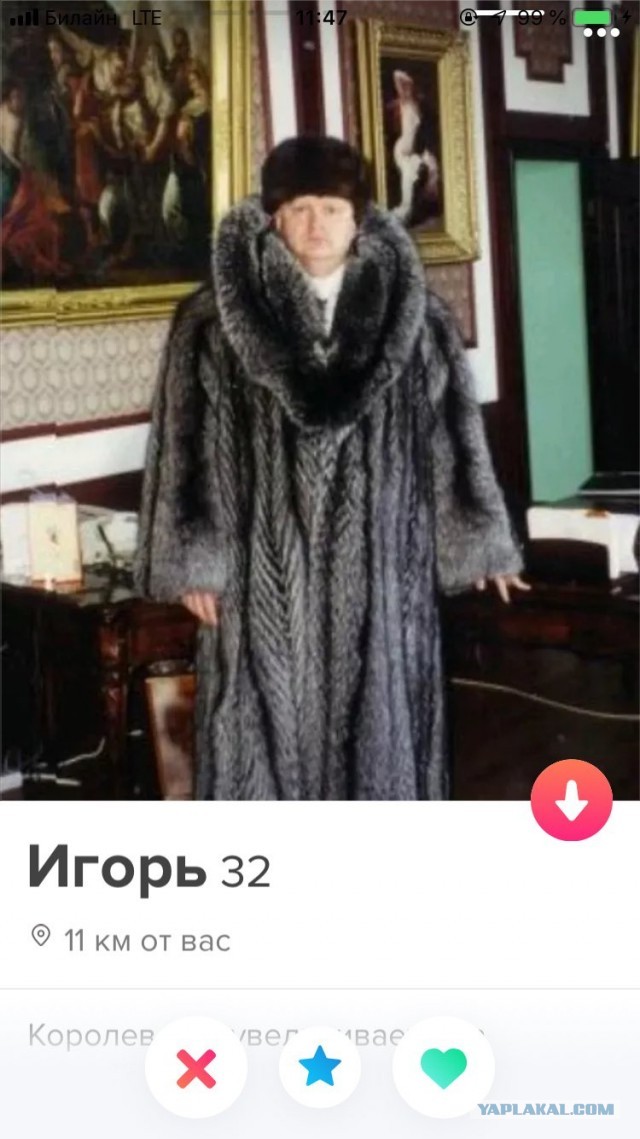 Постыдные скрины перлов с сайтов знакомств, часть 3