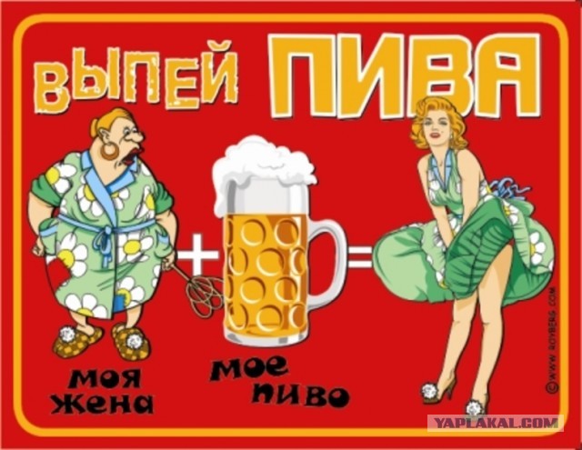 Сегодня отмечается Международный день пива