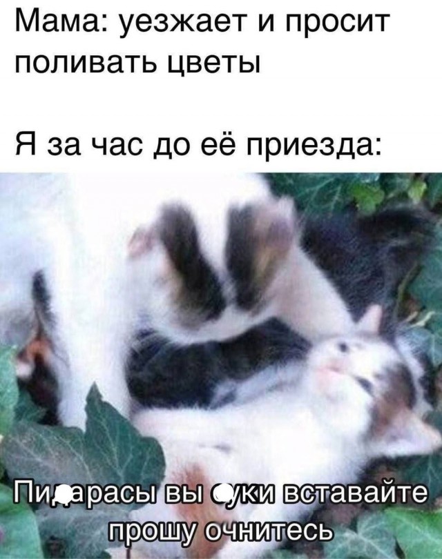 Отряд быстрого деградирования