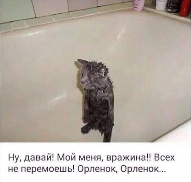 Отряд быстрого деградирования