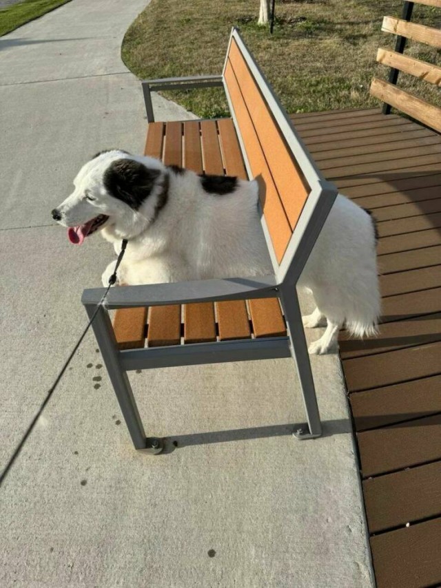 ФотоВинегрет