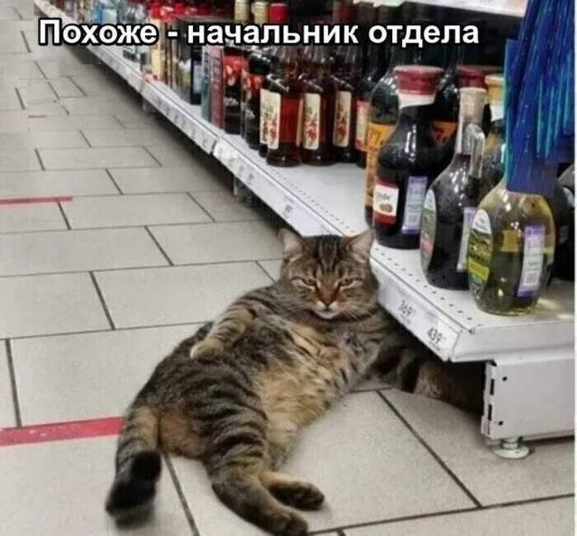 Прикольные и просто красивые картинки 24.05.2024