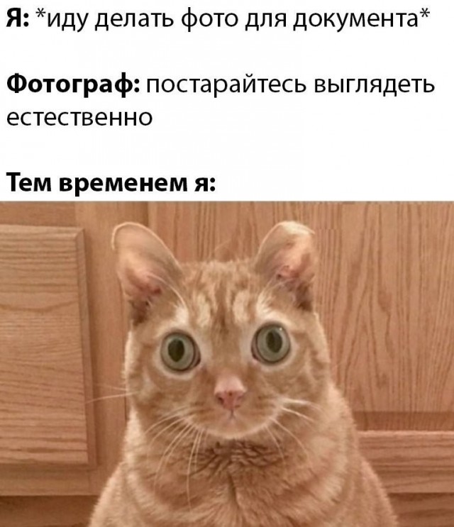 Юмор в картинках и без
