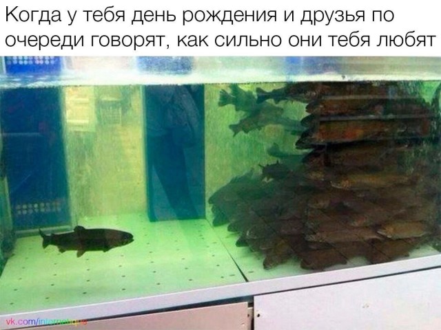 Так себе картинки 04.12.24