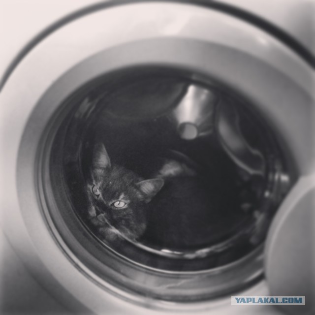 Мелом обвести?