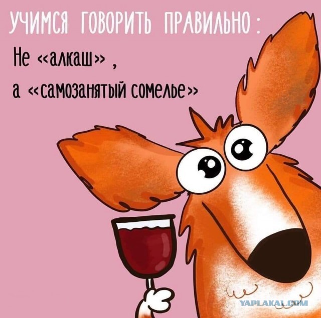 День профессионального алкоголика отмечается сегодня