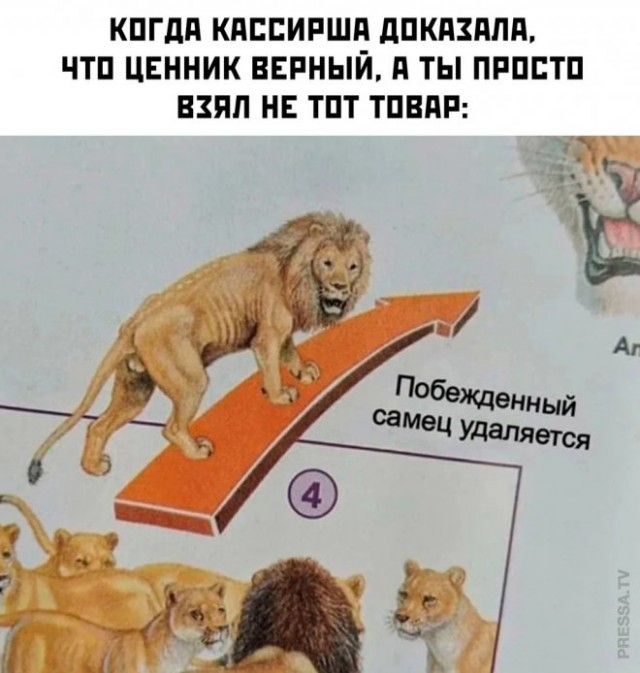 Веселые картинки в понедельник (07.04)