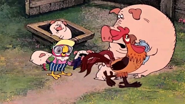 Весёлая ферма перерастает в полноценный зоопарк!