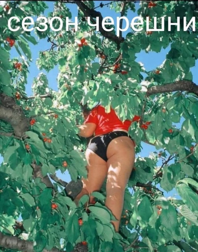 Забавные и не очень скромные картинки - 10