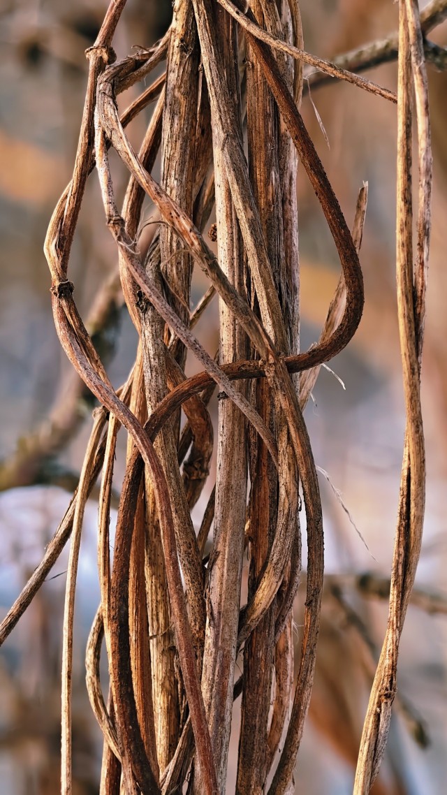 Голубые озера под Казанью