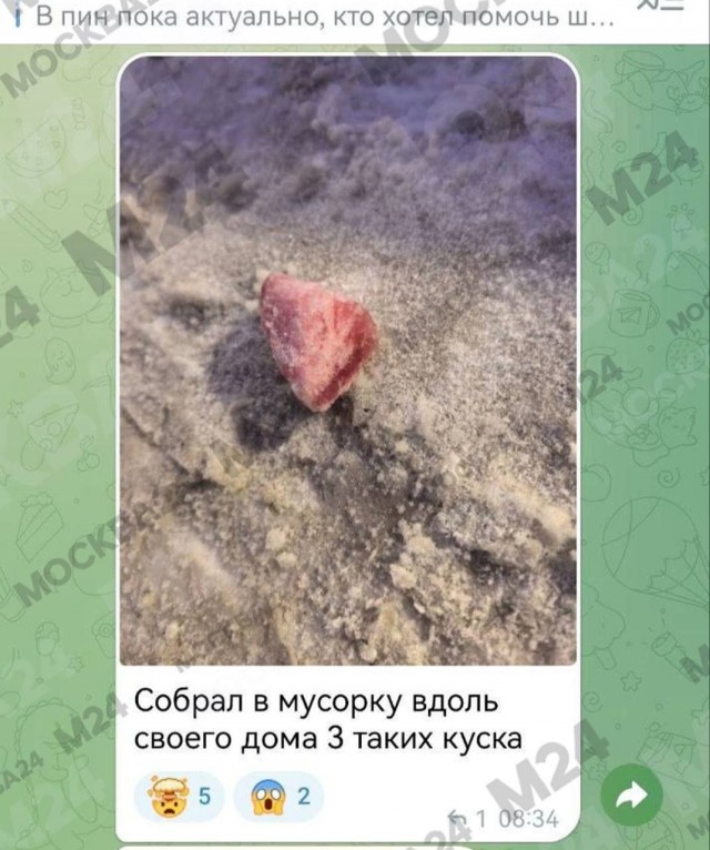 Жители боятся гулять с питомцами в ЖК «Мещерский лес»