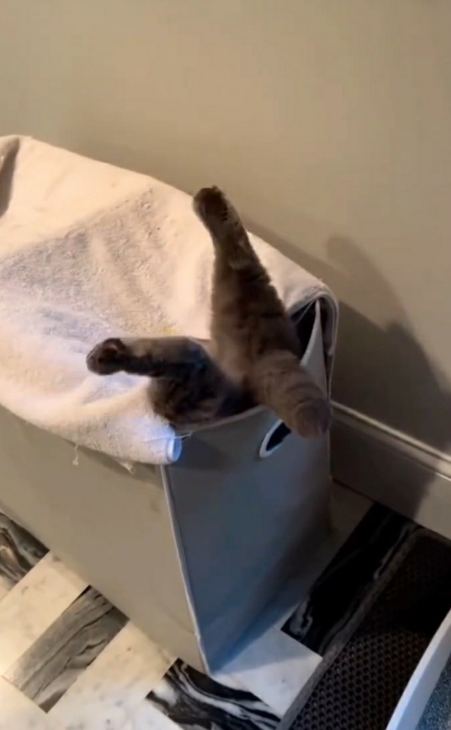 «Мои личные 9 м²»