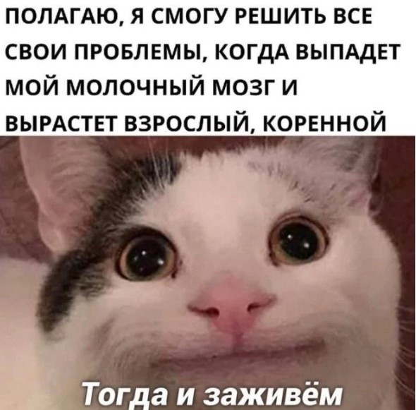 Картиночки, баянчики 06 апреля