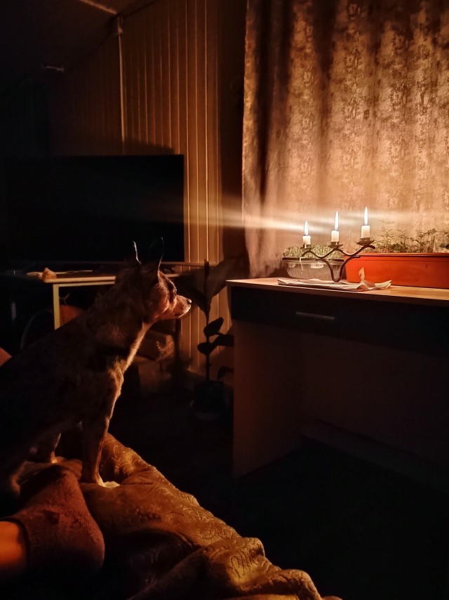 С собакочетвергом же ж.